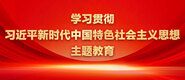 啊嗯哈啊慢点顶那里学习贯彻习近平新时代中国特色社会主义思想主题教育_fororder_ad-371X160(2)